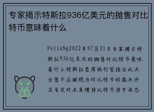 专家揭示特斯拉936亿美元的抛售对比特币意味着什么 